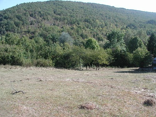 Photo du bien